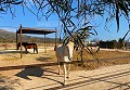 Mooi landelijk huis met zwembad in Lel in Pinoso Villas