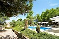 9 Bedroom Country Home in Pinoso Villas