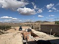 Bodega Reformada con 4 Dormitorios, 3 Baños y Piscina in Pinoso Villas