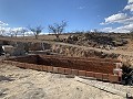 Bodega Reformada con 4 Dormitorios, 3 Baños y Piscina in Pinoso Villas