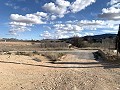 Bodega Reformada con 4 Dormitorios, 3 Baños y Piscina in Pinoso Villas