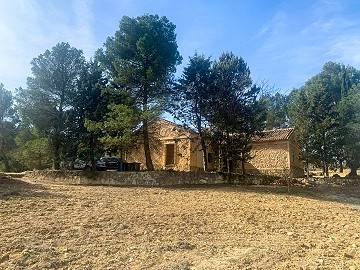 Magnífica Finca Ecuestre Off-Grid en Almansa