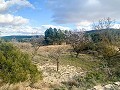 Prachtige off-grid paardenboerderij in Almansa in Pinoso Villas