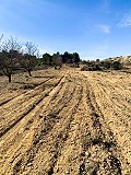 Prachtige off-grid paardenboerderij in Almansa in Pinoso Villas