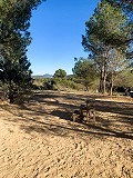 Prachtige off-grid paardenboerderij in Almansa in Pinoso Villas