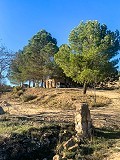 Herrlicher netzunabhängiger Reiterhof in Almansa in Pinoso Villas