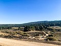 Prachtige off-grid paardenboerderij in Almansa in Pinoso Villas