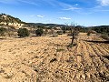 Prachtige off-grid paardenboerderij in Almansa in Pinoso Villas