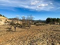 Prachtige off-grid paardenboerderij in Almansa in Pinoso Villas