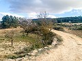 Prachtige off-grid paardenboerderij in Almansa in Pinoso Villas