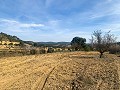 Prachtige off-grid paardenboerderij in Almansa in Pinoso Villas