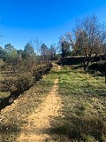 Prachtige off-grid paardenboerderij in Almansa in Pinoso Villas