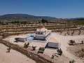 Villas de Obra Nueva en Pinoso con piscina y parcela in Pinoso Villas