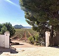 Exclusieve off-grid villa op de top van de berg in Villena in Pinoso Villas