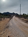 Terrain à vendre avec des oliviers à La Romana. in Pinoso Villas