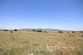 Großes Landhaus mit Marmorgeschäft und Weinplantage in Pinoso Villas