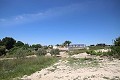 Großes Landhaus mit Marmorgeschäft und Weinplantage in Pinoso Villas