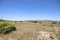 Großes Landhaus mit Marmorgeschäft und Weinplantage in Pinoso Villas