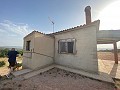 Villa with small guest house in Pinoso Villas