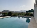 Villa with small guest house in Pinoso Villas