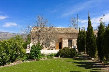 Beautiful renovated finca with pool