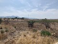 Belle finca rénovée avec piscine in Pinoso Villas