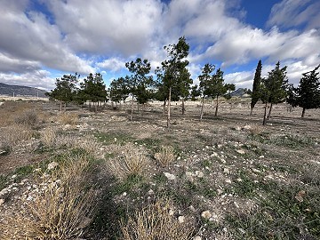 Urban Building plot in Salinas