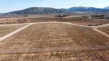 Parcela edificable cerca de Pinoso con impresionantes vistas, solo para villa de nueva construcción