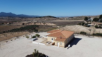 Detached Villa in Torre del Rico