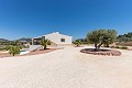 Beautiful Villa ready to move in to with Guest house and Pool in Pinoso Villas