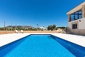 Beautiful Villa ready to move in to with Guest house and Pool in Pinoso Villas