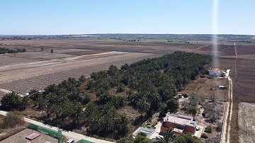 Land in Alicante, Elche