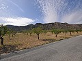 Legales Baugrundstück mit Stadtwasser und Strom in Salinas bei Sax in Pinoso Villas