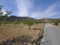 Legales Baugrundstück mit Stadtwasser und Strom in Salinas bei Sax in Pinoso Villas