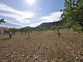 Legales Baugrundstück mit Stadtwasser und Strom in Salinas bei Sax in Pinoso Villas