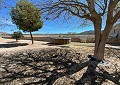 Belle ferme de 140 ans à Salinas in Pinoso Villas