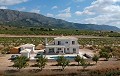 Villas de ensueño de nueva construcción en la hermosa campiña de Alicante in Pinoso Villas