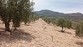 Terrain à bâtir à Salinas avec électricité à proximité et eau in Pinoso Villas