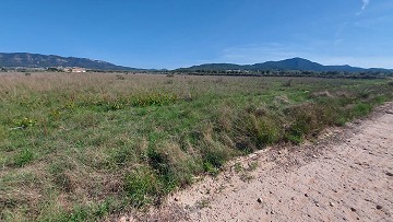 Terrain à bâtir à Salinas avec électricité à proximité et eau