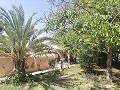 Large 4 Bed Villa with Pool & 2 Garages in Pinoso Villas