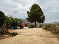 Villa avec 3 chambres, maison d'amis, piscine et garage in Pinoso Villas