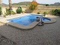 Inmaculada villa de 4/5 dormitorios con piscina privada en La Romana in Pinoso Villas