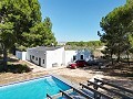 4 Bed Villa with modernised facia and pool in Pinoso Villas