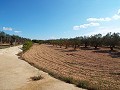 Grande maison de campagne, à distance de marche de la ville in Pinoso Villas