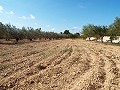 Grande maison de campagne, à distance de marche de la ville in Pinoso Villas