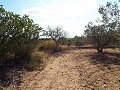 Grande maison de campagne, à distance de marche de la ville in Pinoso Villas