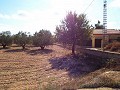 Grande maison de campagne, à distance de marche de la ville in Pinoso Villas