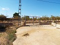 Grande maison de campagne, à distance de marche de la ville in Pinoso Villas