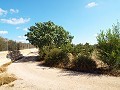 Grande maison de campagne, à distance de marche de la ville in Pinoso Villas