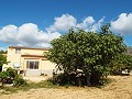 Grande maison de campagne, à distance de marche de la ville in Pinoso Villas